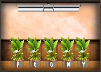Play Amgel Kids Room Escape 89 online for free at PlotyGames