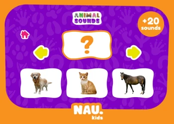 Play Animal Sounds online for free at PlotyGames