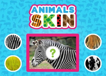 Play Animals Skin online for free at PlotyGames