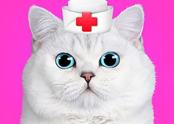 Play Cat Pet Doctor Dentist online for free at PlotyGames