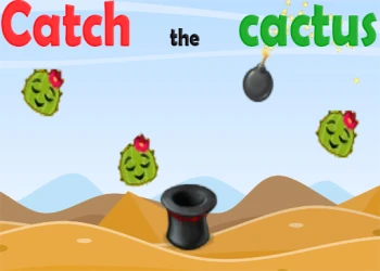 Play Catch The Cactus online for free at PlotyGames
