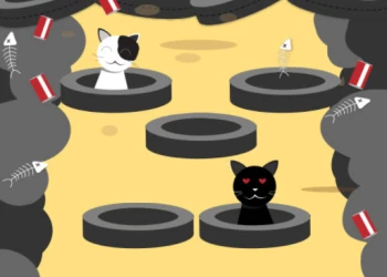 Play Catch The Cats online for free at PlotyGames