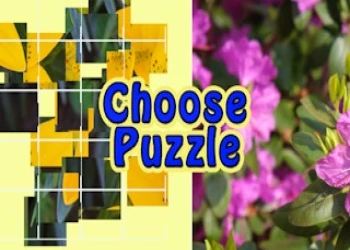 Play Choose Puzzle online for free at PlotyGames