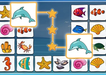 Play Connect Master online for free at PlotyGames