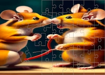 Cute Hamsters Picture piece - Free animal game online at plotygames