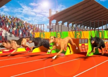 Dog Run 3D - Free hypercasual game online at plotygames