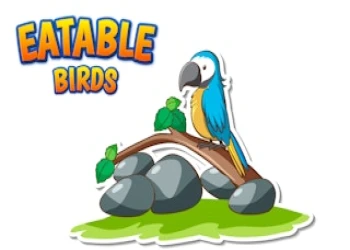 Play Eatable Birds online for free at PlotyGames
