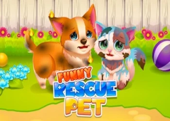 Play Funny Rescue Pet online for free at PlotyGames
