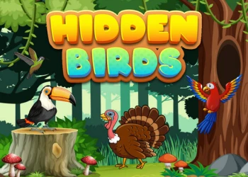 Play Hidden Birds online for free at PlotyGames