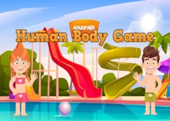 Human Body Game - Free kids game online at plotygames