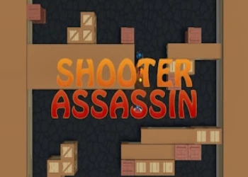 Play Hunter Shooter Assassin online for free at PlotyGames