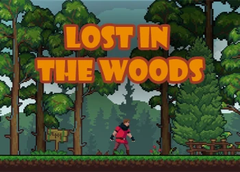 Play Lost in the Woods online for free at PlotyGames