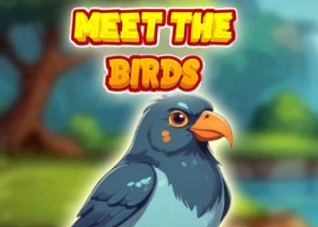 Play Meet The Birds online for free at PlotyGames