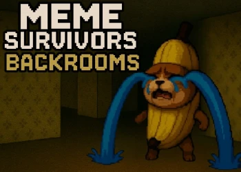 Play Meme Survivors: Backrooms online for free at PlotyGames