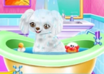 Play My New Poodle Friend - Pet Care Game online for free at PlotyGames