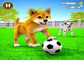 Play My Virtual Dog Care online for free at PlotyGames