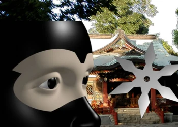 Play Ninja Academy online for free at PlotyGames