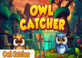 Play Owl Catcher online for free at PlotyGames