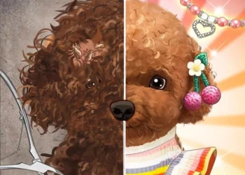 Play Pet Makeup Master online for free at PlotyGames