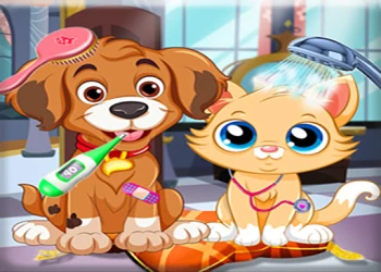 Play Puppy Pet Vet Care online for free at PlotyGames
