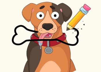 Play Puzzle Draw online for free at PlotyGames