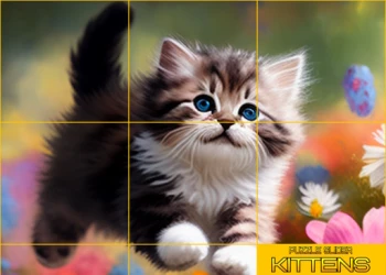 Play Puzzle Sliding   Kittens online for free at PlotyGames
