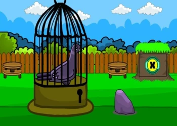 Play Rescue The Pigeon 2 online for free at PlotyGames