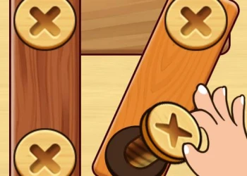 Play Screw Nuts Bolts: Wood Solve online for free at PlotyGames