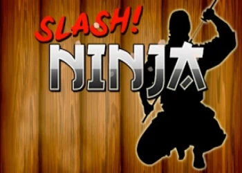 Slash Ninja - Free fun game online at plotygames