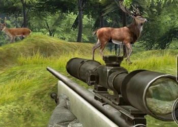 Sniper Hunting Deadly Animal - Free shooting game online at plotygames