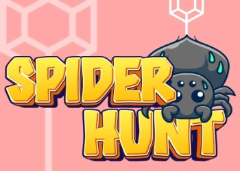 Play Spider Hunt online for free at PlotyGames