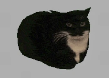 Play Spinning Cat Clicker online for free at PlotyGames