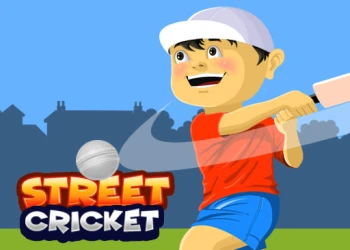 Play Street Cricket online for free at PlotyGames