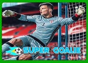 Super Goalie - Free soccer game online at plotygames