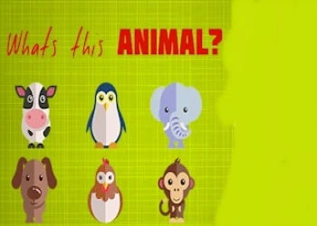 What's That Animal - Free animal game online at plotygames